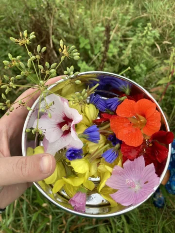 Eetbare bloemen